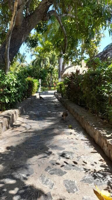 Sol Y Mar. Delfines Apartman Ixtapa  Kültér fotó